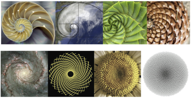 Generative Design